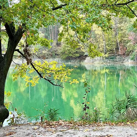 Igelnest Διαμέρισμα