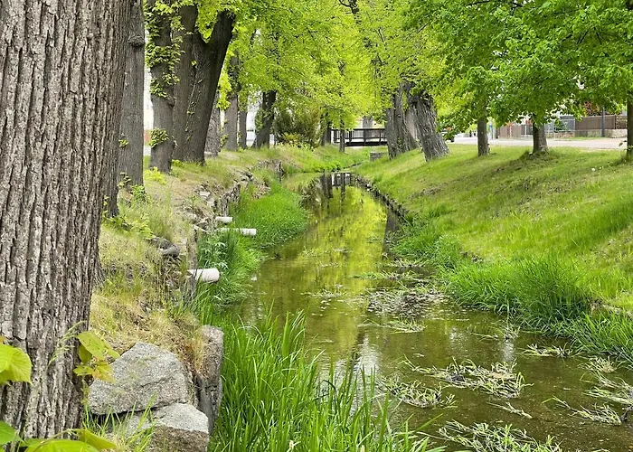 Igelnest Апартаменты Grossthiemig