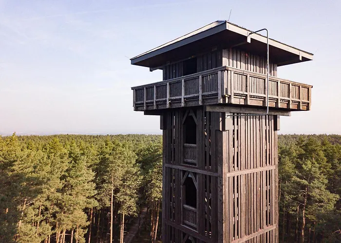 Igelnest * Grossthiemig